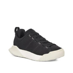 Men's X-Scape NBK Low Sneaker - Black/White - Regular (D) -Fashion Shoes Shop mens x scape nbk low black white 2 800x 49a004d6 b4a7 4287 8d5d 6c8ddafe6120