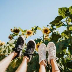 Men's X-Scape NBK Low Sneaker - Black/White - Regular (D) -Fashion Shoes Shop mens x scape nbk low black white ls 2 800x 19e1401c ae96 4599 a957 64c89760f645